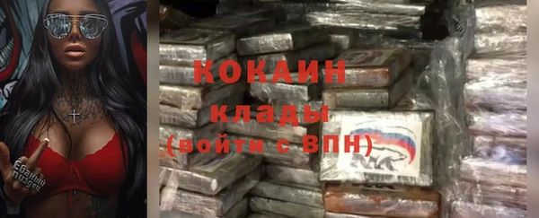 стаф Аркадак