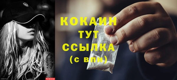 стаф Аркадак