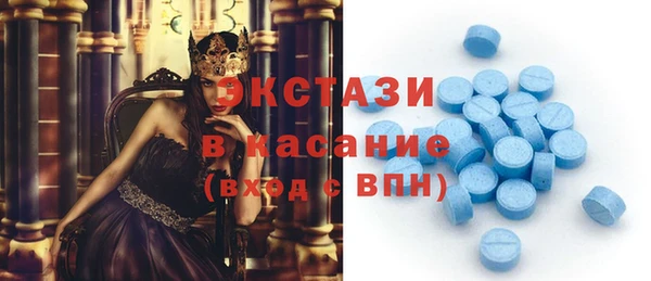 стаф Аркадак