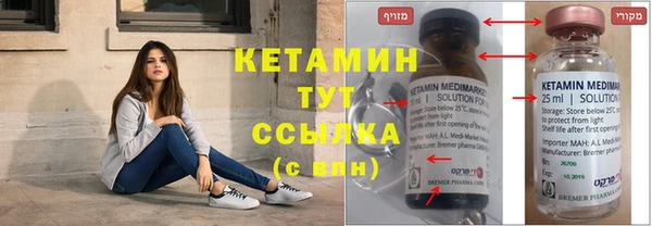 стаф Аркадак