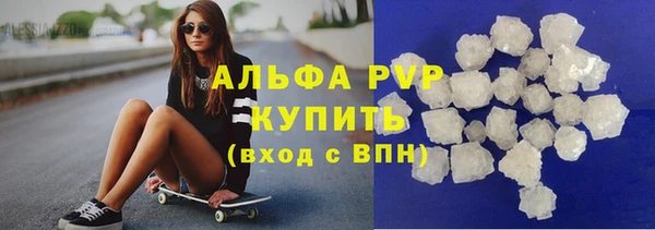 стаф Аркадак