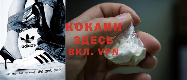 стаф Аркадак