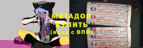 стаф Аркадак