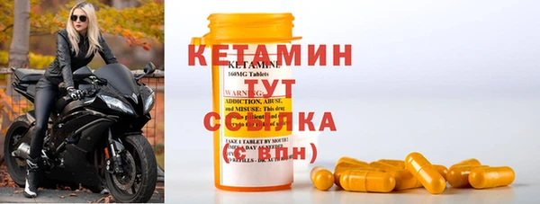 стаф Аркадак
