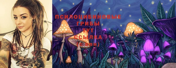 стаф Аркадак