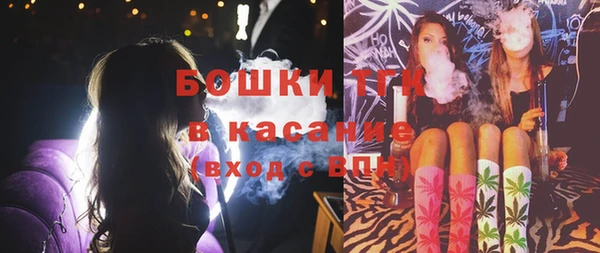 стаф Аркадак