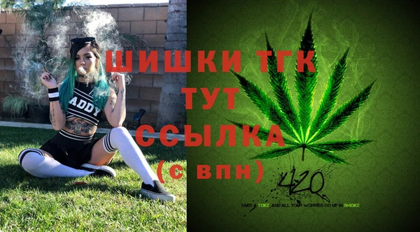 стаф Аркадак