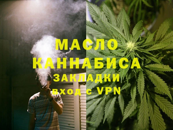 стаф Аркадак